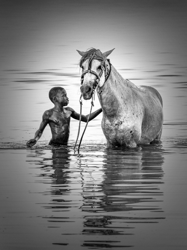 Le cheval et l'enfant de Bertrand BIGO