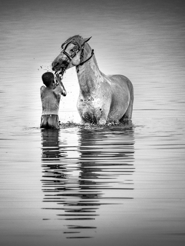 Le cheval et l'enfant de Bertrand BIGO