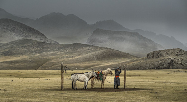 Deuxième photo - Mongolie chevaux - Arnaud MARCHAIS - Phot'Azur Six-Fours-les-Plages