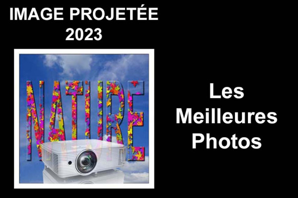 IMAGE PROJETÉE NATURE 2023