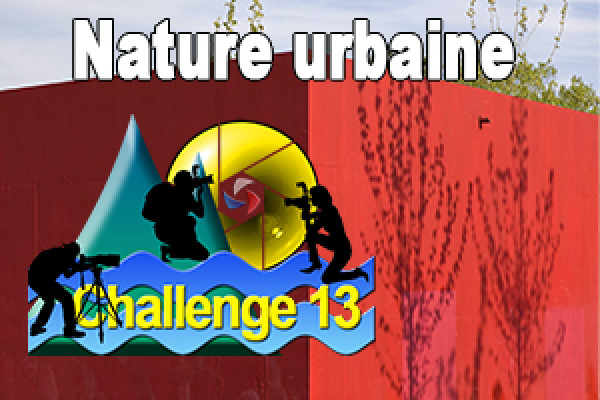 Défi N° 6 - Nature urbaine